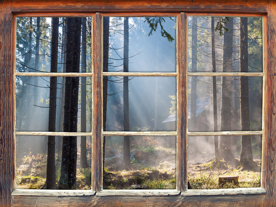 Sonnenstrahlen im Wald  3D Wandtattoo Fenster