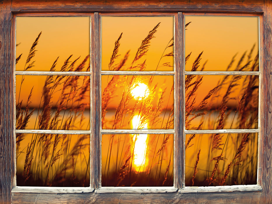 Sonne zwischen Gräsern  3D Wandtattoo Fenster