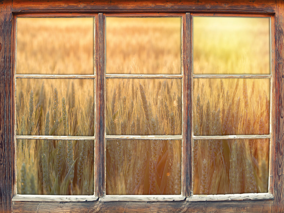 Getreidefeld  3D Wandtattoo Fenster