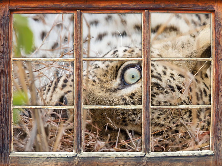 Leopard  3D Wandtattoo Fenster