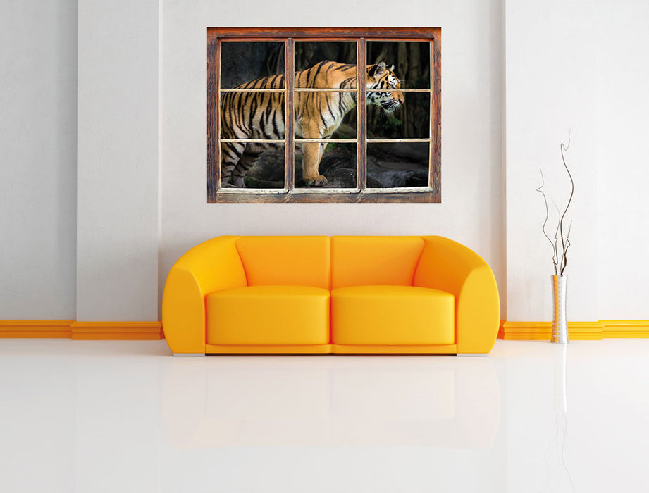 Tiger 3D Wandtattoo Fenster Wand