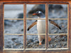 Pinguine  3D Wandtattoo Fenster