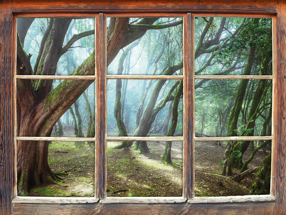 Wald 3D Wandtattoo Fenster