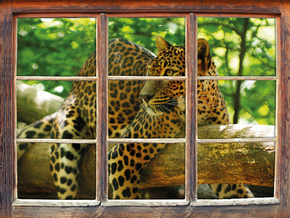 Leopard auf Ast  3D Wandtattoo Fenster