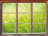 Nasses Gras  3D Wandtattoo Fenster