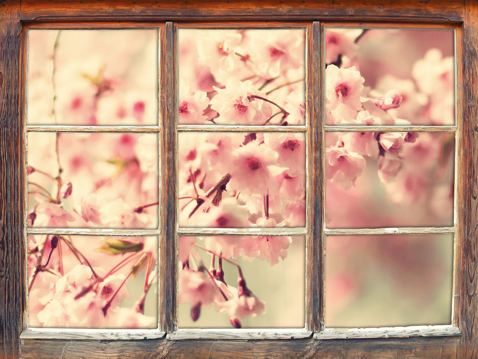 Kirschblüten 3D Wandtattoo Fenster