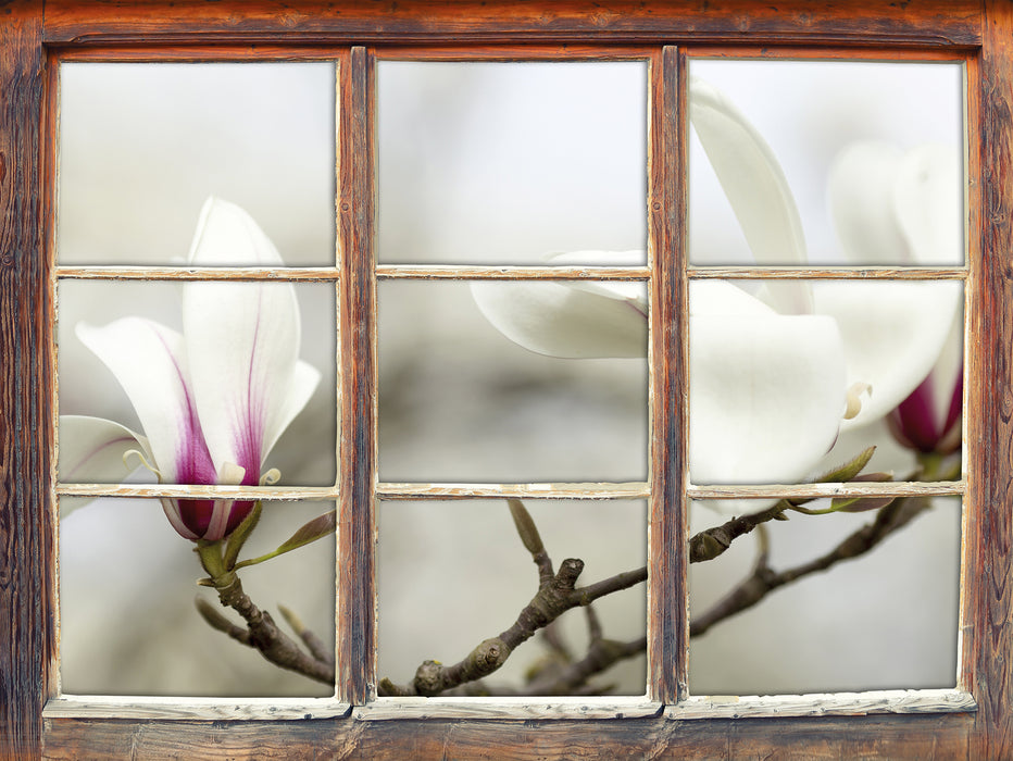 Weiße Baumblüten  3D Wandtattoo Fenster