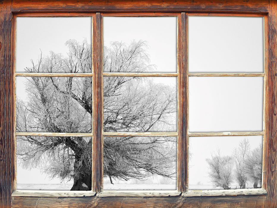 Bäume im Schnee Nebel  3D Wandtattoo Fenster
