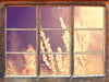 Gräser im Sonnenuntergang  3D Wandtattoo Fenster