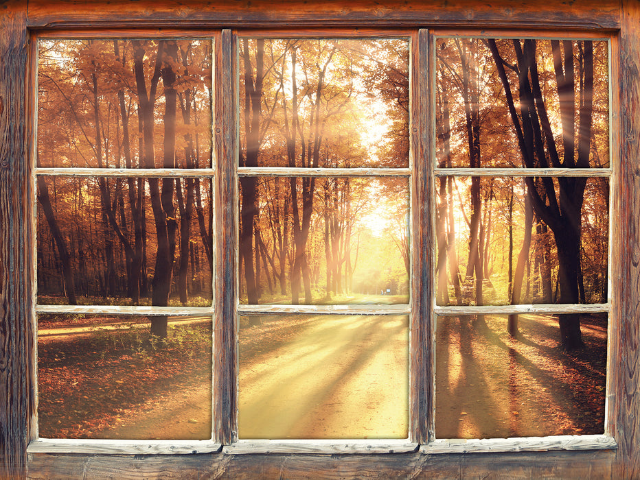 Baumallee im Herbst  3D Wandtattoo Fenster