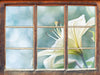 Wunderschöne Lilien  3D Wandtattoo Fenster