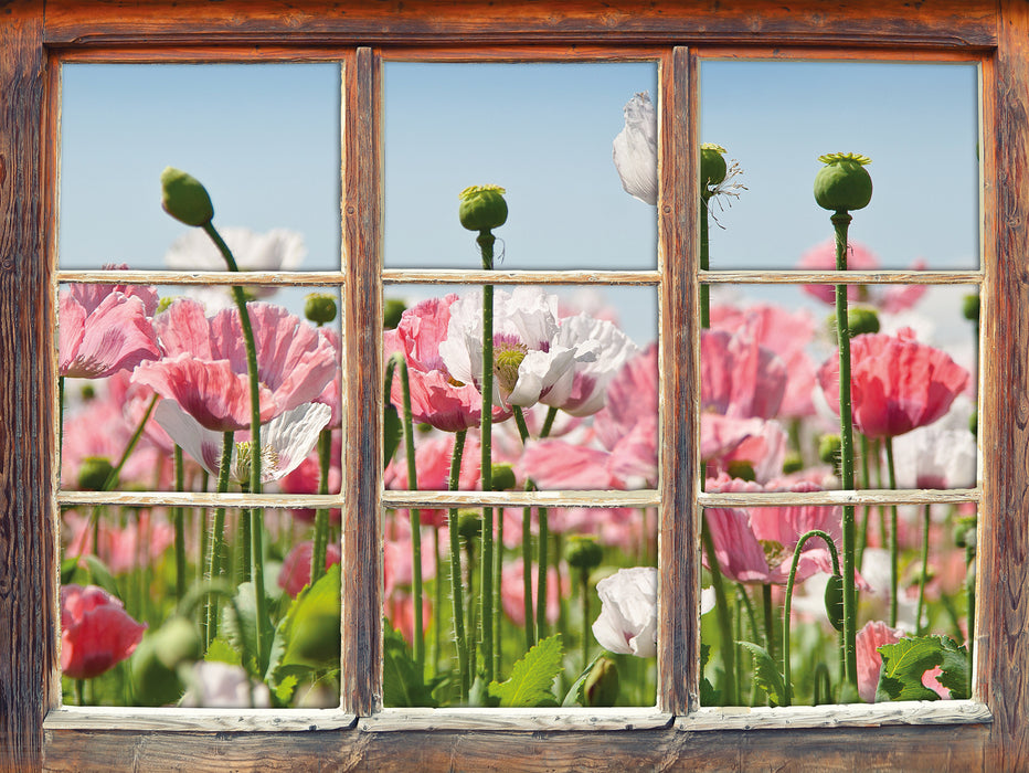 Blumenwiese Mohnblumen  3D Wandtattoo Fenster