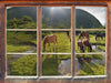 Pferde auf Wiese  3D Wandtattoo Fenster