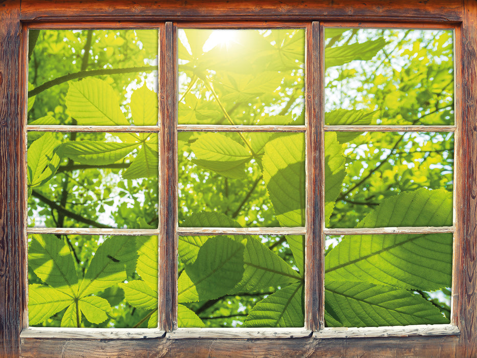 Grüne Blätter 3D Wandtattoo Fenster