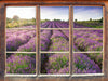 Lavendelfeld Provence 3D Wandtattoo Fenster