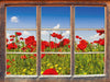 Mohnwiese 3D Wandtattoo Fenster