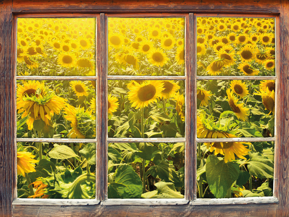 Riesiges Sonnenblumenfeld 3D Wandtattoo Fenster