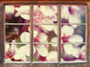 Kirschblüten Retro  3D Wandtattoo Fenster