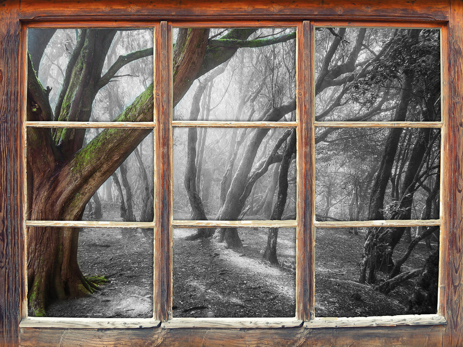 einsamer Baum in tristem Grau 3D Wandtattoo Fenster