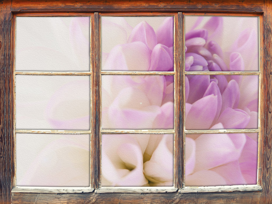 Blüte mit lila Blütenblätter 3D Wandtattoo Fenster