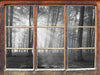 Wald mit Sonnenstrahlen 3D Wandtattoo Fenster