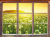 Pusteblumen Sonnenuntergang  3D Wandtattoo Fenster