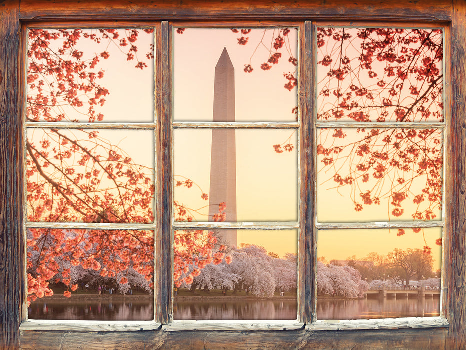 Jefferson Memorial  3D Wandtattoo Fenster