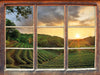 Teeplantage bei Sonnenuntergang  3D Wandtattoo Fenster
