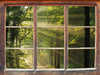 Waldweg im Frühling 3D Wandtattoo Fenster