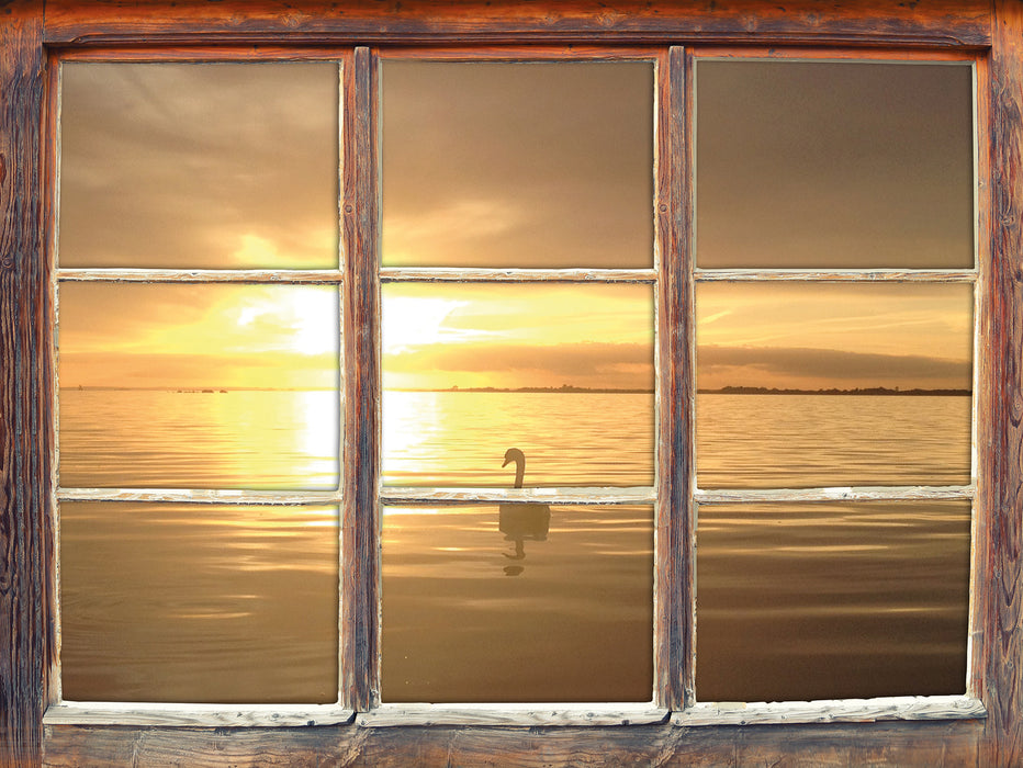 Einsamer Schwan auf See  3D Wandtattoo Fenster