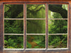 Mystischer Regenwald  3D Wandtattoo Fenster