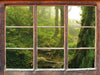 Unberührter Regenwald  3D Wandtattoo Fenster