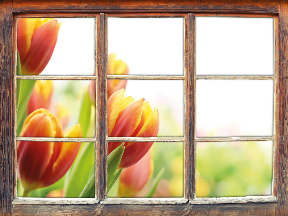 Bunte Tulpenwiese  3D Wandtattoo Fenster