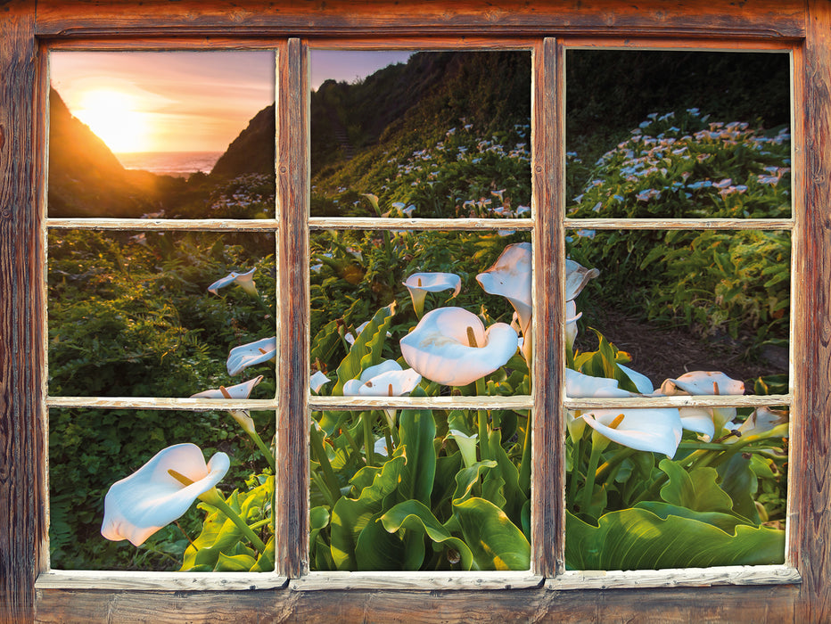 Blumenwiese in den Bergen  3D Wandtattoo Fenster