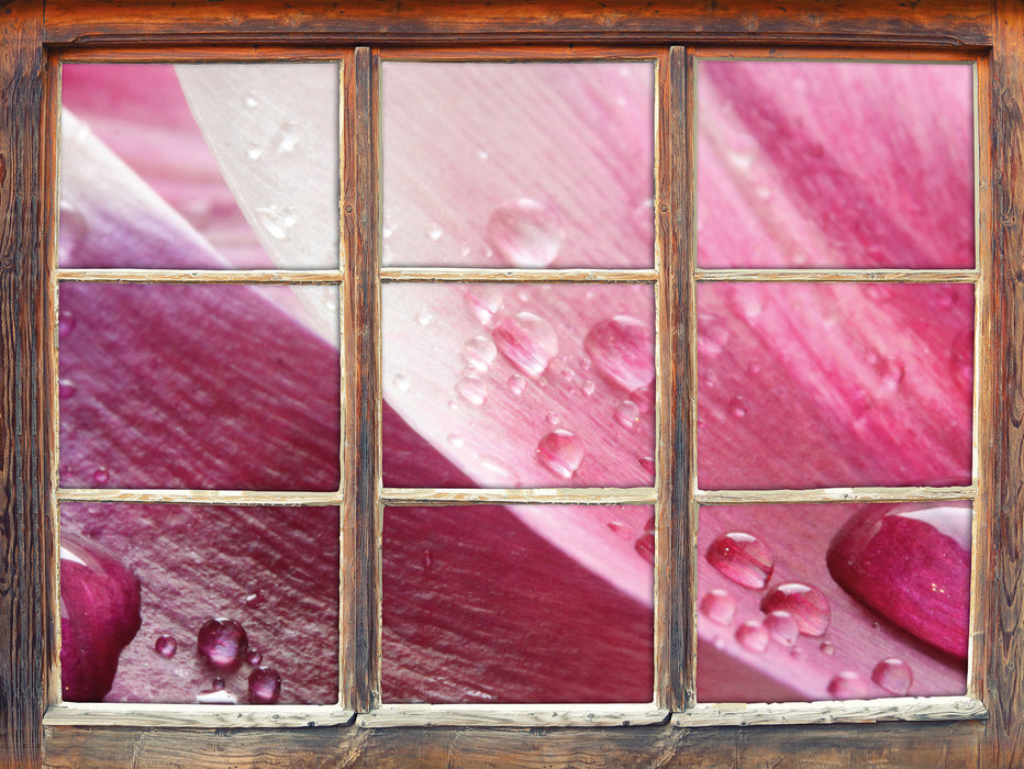 Tulpenblätter  3D Wandtattoo Fenster