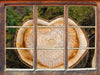 Jahresringe am Baumstamm  3D Wandtattoo Fenster