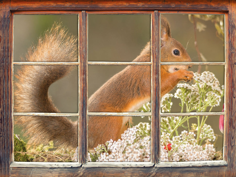 Nagendes Eichhörnchen im Moos  3D Wandtattoo Fenster