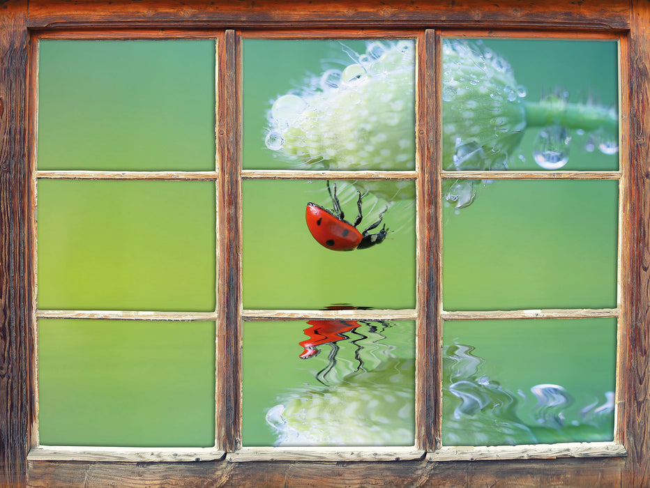 Marienkäfer Mohnblume  3D Wandtattoo Fenster