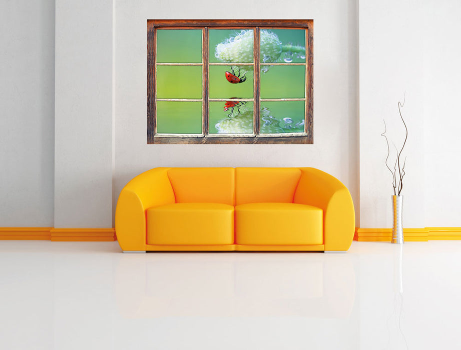 Marienkäfer Mohnblume 3D Wandtattoo Fenster Wand