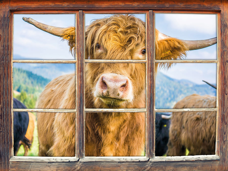 Blick einer Kuh an der Weide 3D Wandtattoo Fenster