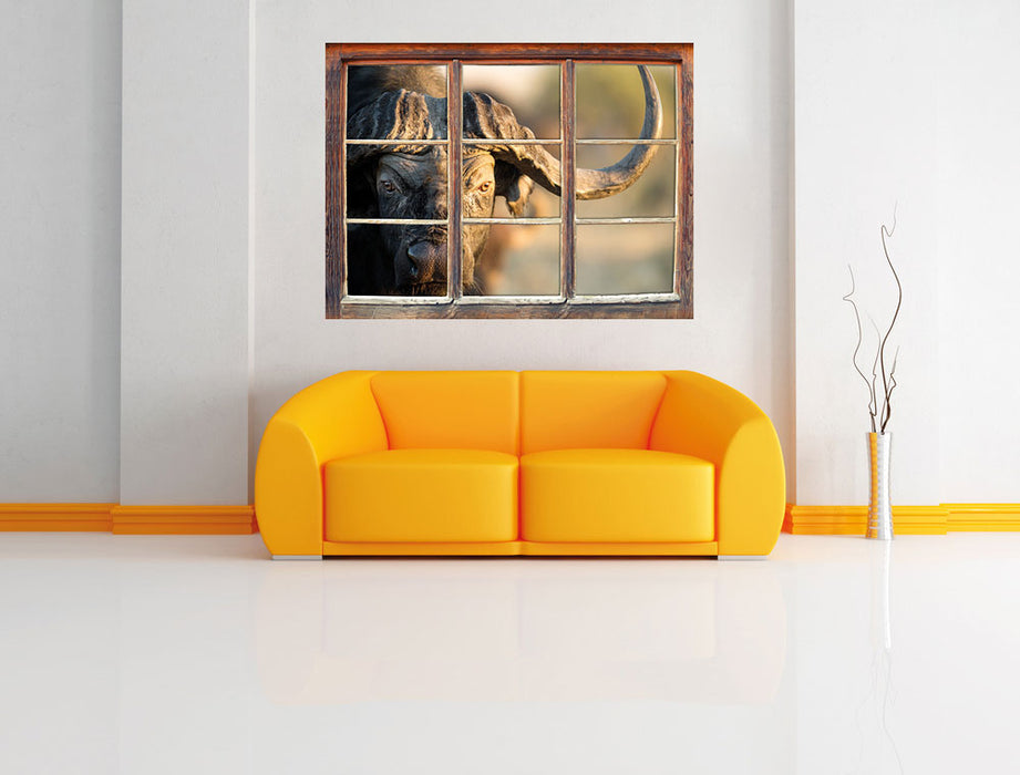 Kaffernbüffel mit Hörnern 3D Wandtattoo Fenster Wand