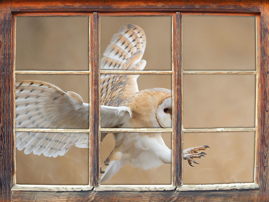 Fliegende Weiße Eule bei der Jagd  3D Wandtattoo Fenster