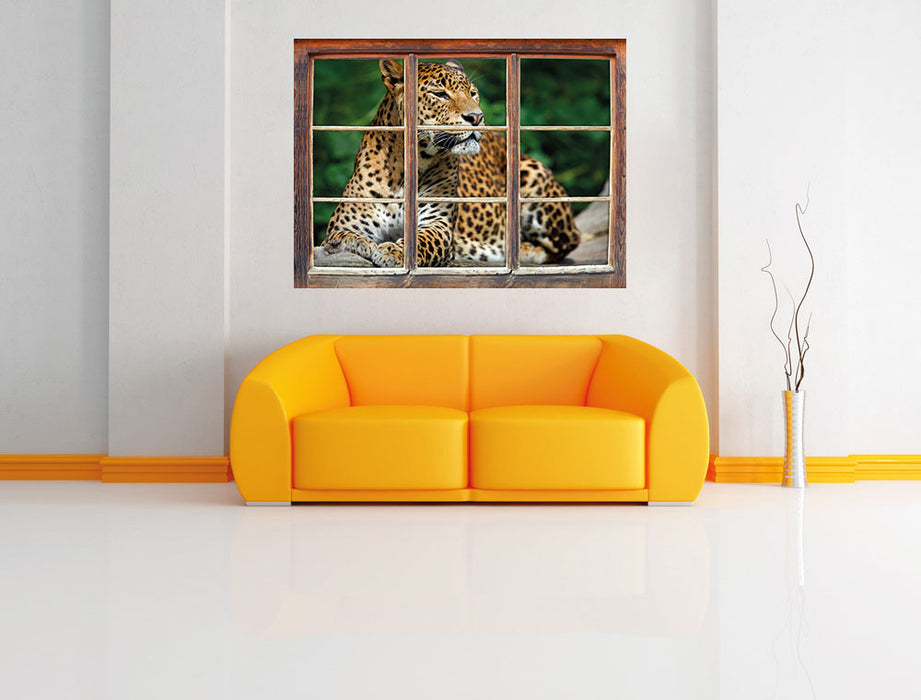 Wunderschöner Leopard in der Natur 3D Wandtattoo Fenster Wand