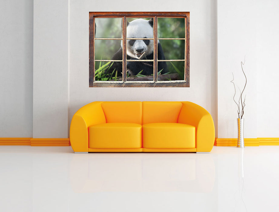 Niedlicher Panda isst Bambus 3D Wandtattoo Fenster Wand