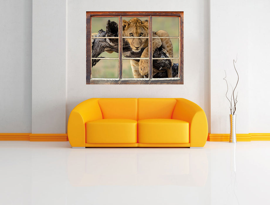 Junger Löwe in der Natur 3D Wandtattoo Fenster Wand