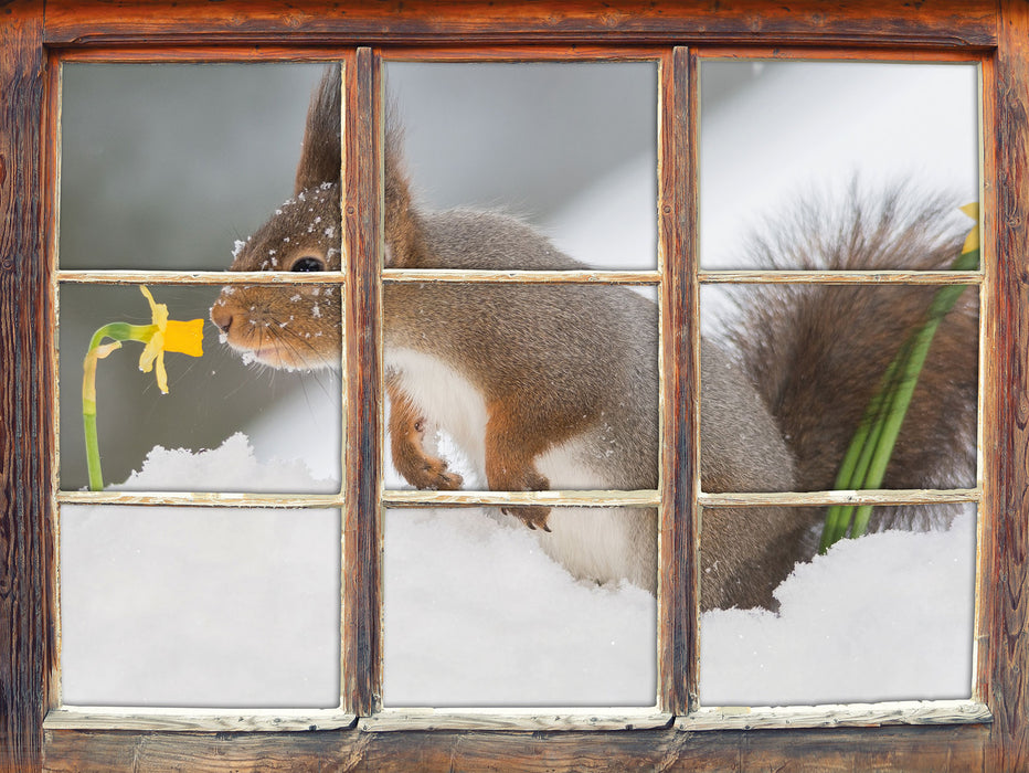 Eichhörnchen im Schnee  3D Wandtattoo Fenster