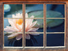 Eine rosa Lotusblume in Teich  3D Wandtattoo Fenster