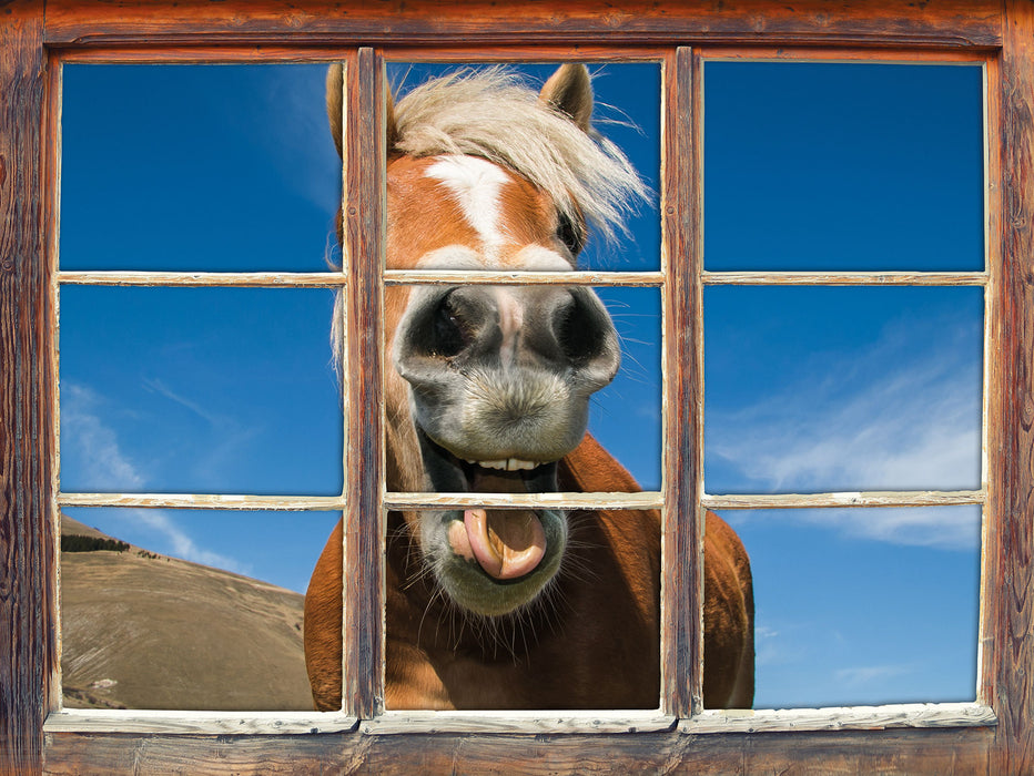 Lustiges Pferd in der Natur  3D Wandtattoo Fenster