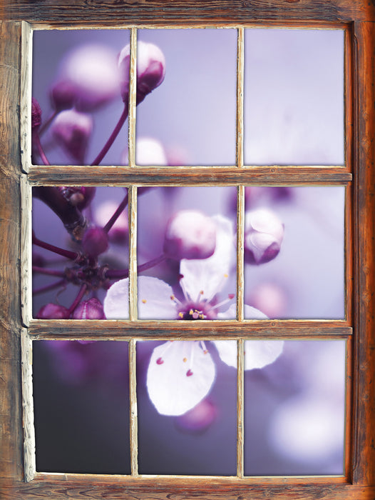 Blüten des Kirschbaumes  3D Wandtattoo Fenster