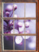 Blüten des Kirschbaumes  3D Wandtattoo Fenster